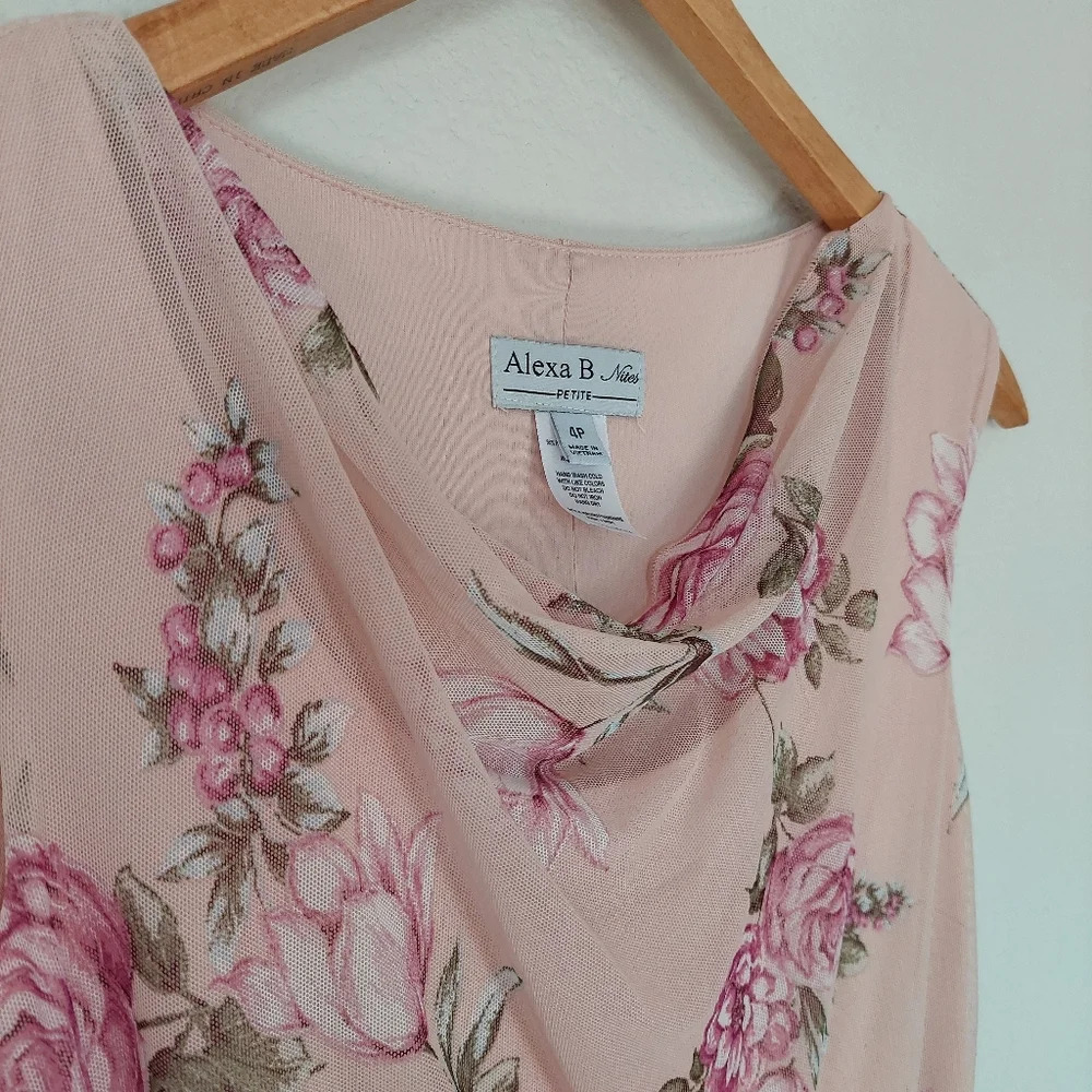 ALEXA B Nites Sheer Lined Pink Floral Maxi Dress Size‎ 4P - Picture 2 of 9